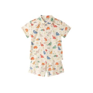 Conjunto de niño M/C de Dinos